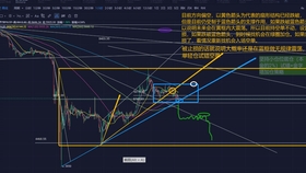 2024年12月 第379页